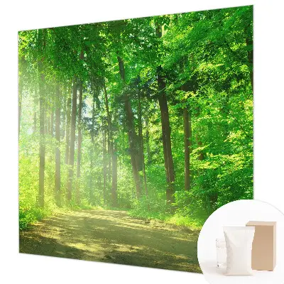 Papier peint panoramique tendance avec un motif de sentier forestier