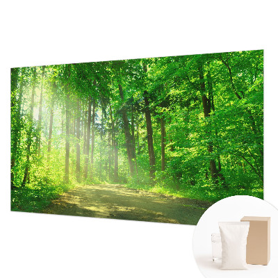 Papier peint panoramique tendance avec un motif de sentier forestier