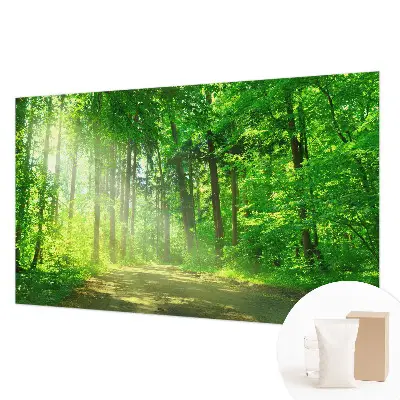 Papier peint photo imprimé sur tissu non tissé Chemin forestier