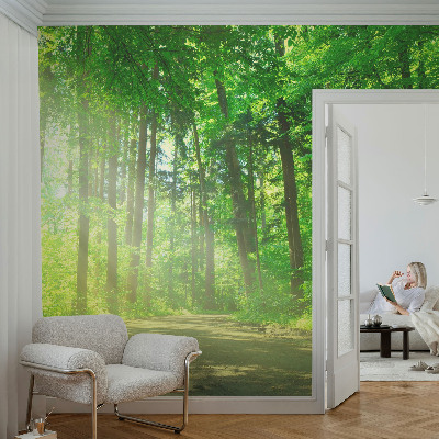 Papier peint panoramique tendance Lesný chodník