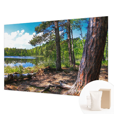 Papier peint photographique avec un motif de paysage forestier
