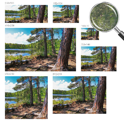 Papier peint photographique avec un motif de paysage forestier
