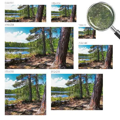 Papier peint photographique intissé paysage forestier
