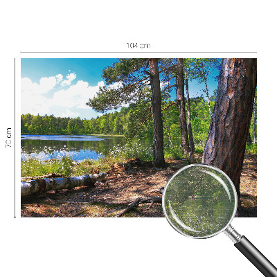 Papier peint photographique Lesná krajina