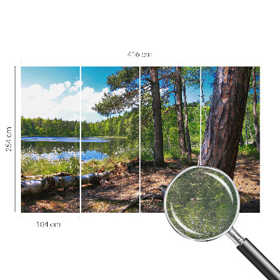 Papier peint photographique Lesná krajina