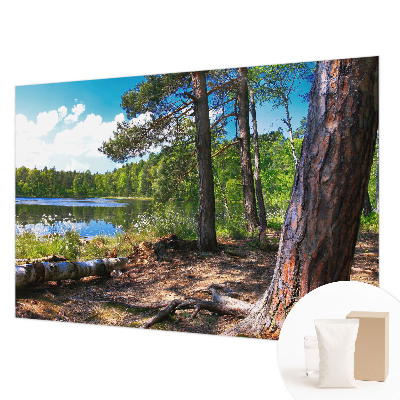 Papier peint photographique avec un motif de paysage forestier