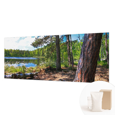 Papier peint photographique avec un motif de paysage forestier