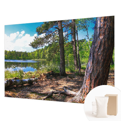 Papier peint photographique avec un motif de paysage forestier