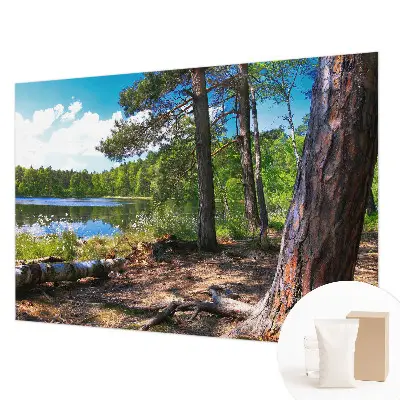 Papier peint photographique intissé paysage forestier