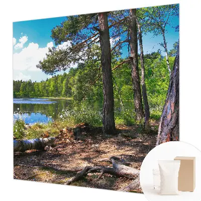 Papier peint photographique intissé paysage forestier