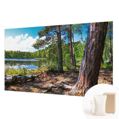 Papier peint photographique avec un motif de paysage forestier