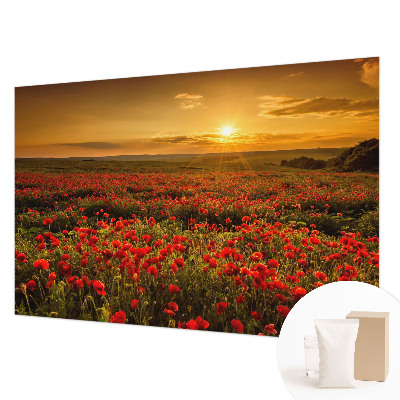 Papier peint photo avec un motif de champs de coquelicots