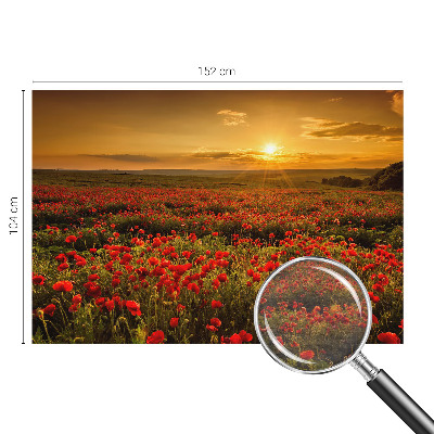 Papier peint photo Makové pole