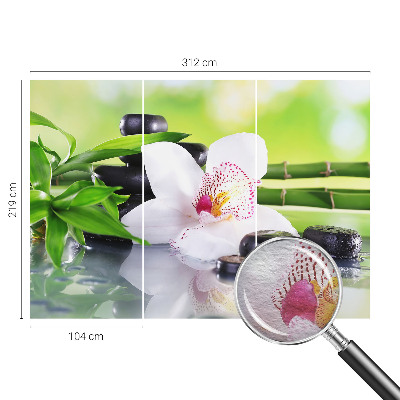 Papier peint panoramique Pokoj prírody