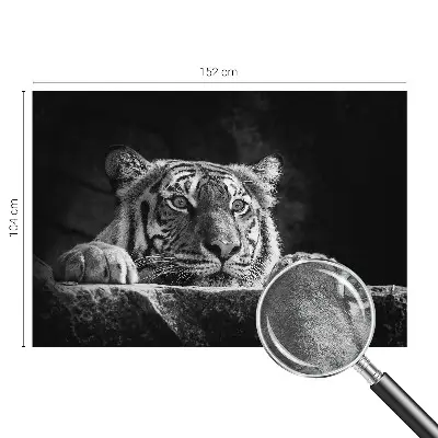 Papier peint photo sur tissu non tissé Regard prédateur