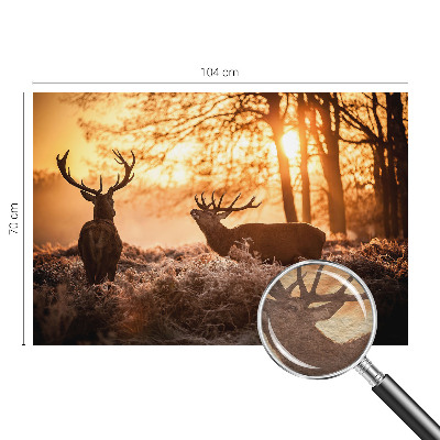 Papier peint photographique avec un motif de cerf au petit matin