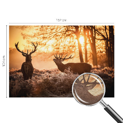 Papier peint photographique avec un motif de cerf au petit matin