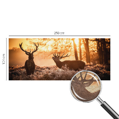 Papier peint photographique Jeleň ráno