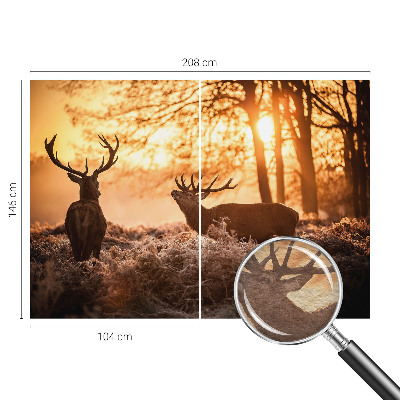 Papier peint photographique avec un motif de cerf au petit matin