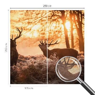 Papier peint photographique Jeleň ráno