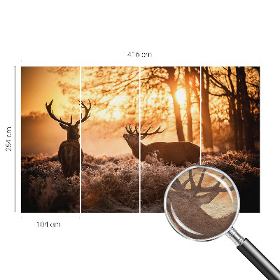 Papier peint photographique avec un motif de cerf au petit matin