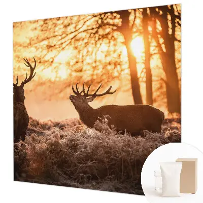 Papier peint photographique sur tissu non tissé Cerfs le matin