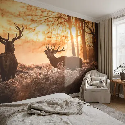 Papier peint photographique sur tissu non tissé Cerfs le matin