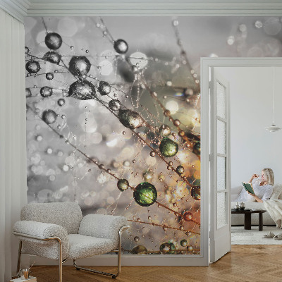 Papier peint panoramique Osviežujem šperky rosou