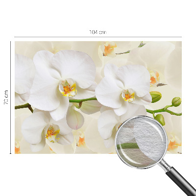 Papier peint panoramique intissé Kvetinové bohatstvo