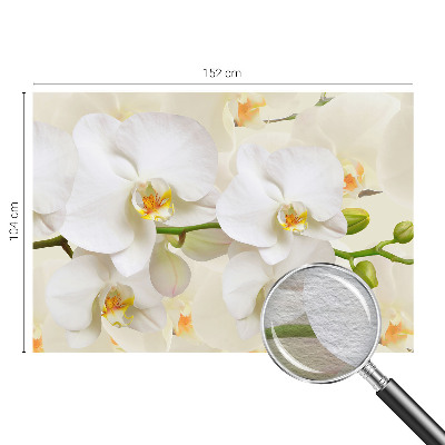 Papier peint panoramique intissé Kvetinové bohatstvo