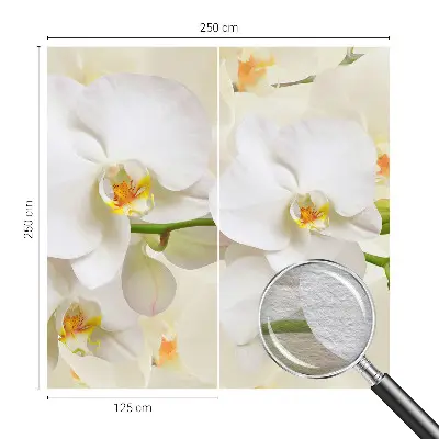 Papier peint intissé richesse florale