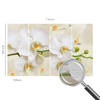 Papier peint panoramique intissé Kvetinové bohatstvo