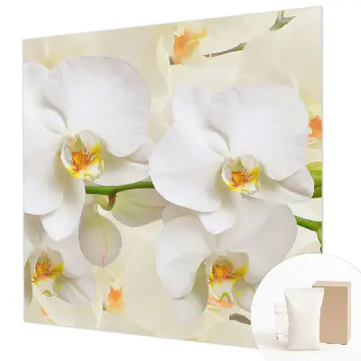 Papier peint intissé richesse florale
