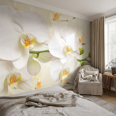 Papier peint panoramique intissé Kvetinové bohatstvo