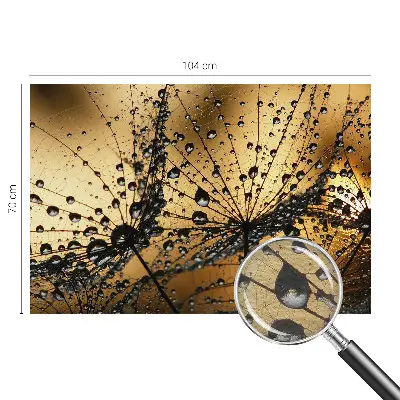 Papier peint photo grand format pour le mur Gouttes délicates