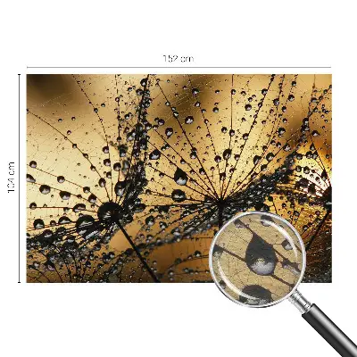 Papier peint photo grand format pour le mur Gouttes délicates