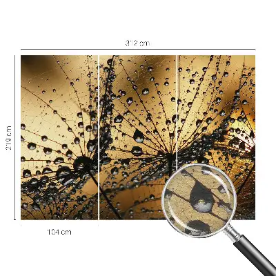 Papier peint photo grand format pour le mur Gouttes délicates
