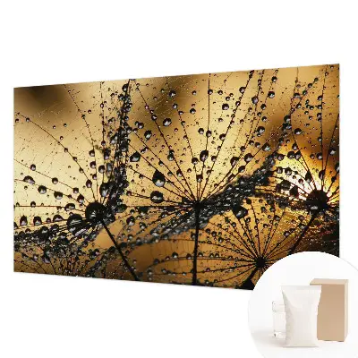 Papier peint photo grand format pour le mur Gouttes délicates