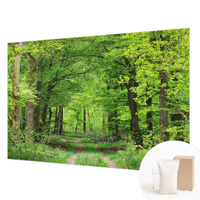 Papier peint panoramique tendance avec un motif de sentier forestier