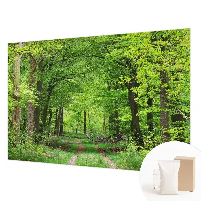 Papier peint photo grand format pour le mur Chemin forestier