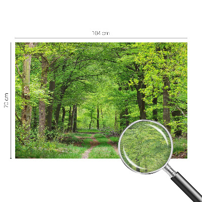 Papier peint panoramique tendance avec un motif de sentier forestier