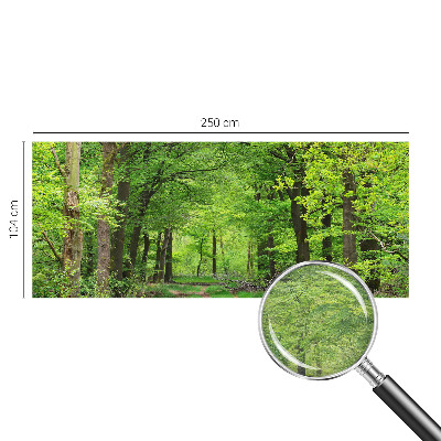 Papier peint panoramique tendance avec un motif de sentier forestier
