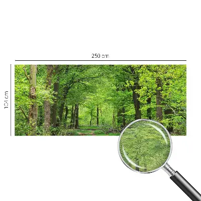 Papier peint photo grand format pour le mur Chemin forestier