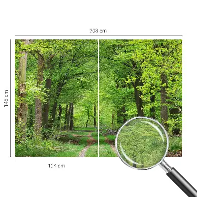 Papier peint photo grand format pour le mur Chemin forestier