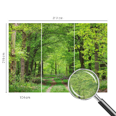 Papier peint panoramique tendance avec un motif de sentier forestier
