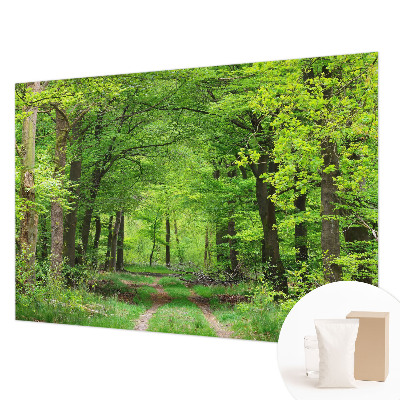 Papier peint panoramique tendance avec un motif de sentier forestier
