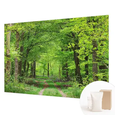 Papier peint photo grand format pour le mur Chemin forestier
