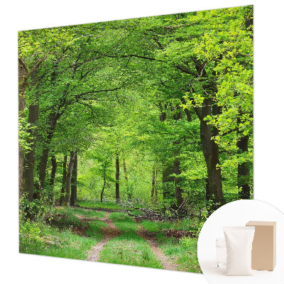 Papier peint panoramique tendance avec un motif de sentier forestier