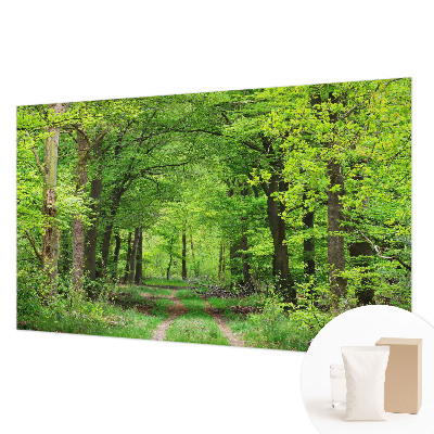 Papier peint panoramique tendance avec un motif de sentier forestier