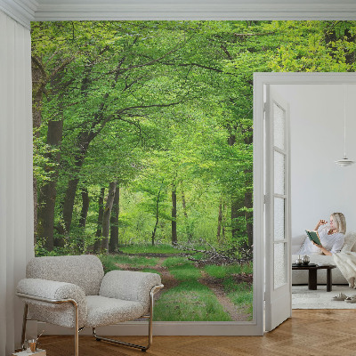 Papier peint panoramique tendance Lesný chodník